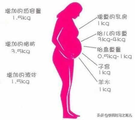 孕期体重图(孕期体重图片) 第2张 孕期体重图(孕期体重图片) 第2张