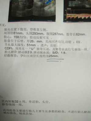 孕期查出宫颈管太短,是有什么原因造成的吗,美短孕期多长时间 第1张 孕期查出宫颈管太短,是有什么原因造成的吗,美短孕期多长时间 第1张