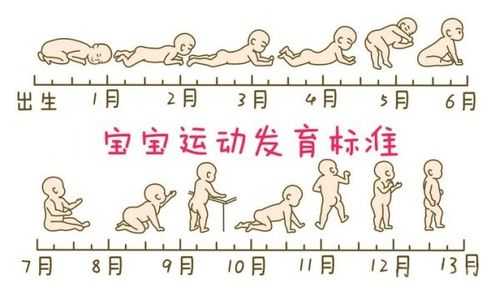 婴儿匍匐爬怎么过渡跪爬,孕期跪趴好处 第3张 婴儿匍匐爬怎么过渡跪爬,孕期跪趴好处 第3张