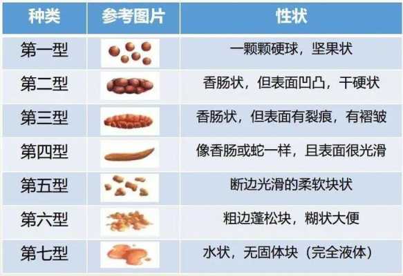 孕期大便臭(怀孕期间拉的屎像羊屎一样是什么回事) 第2张 孕期大便臭(怀孕期间拉的屎像羊屎一样是什么回事) 第2张
