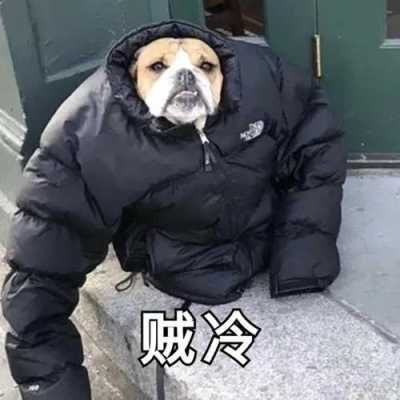 怀孕两个月特别怕冷,感觉浑身冷,孕期半夜冷的发抖是什么原因 第2张 怀孕两个月特别怕冷,感觉浑身冷,孕期半夜冷的发抖是什么原因 第2张