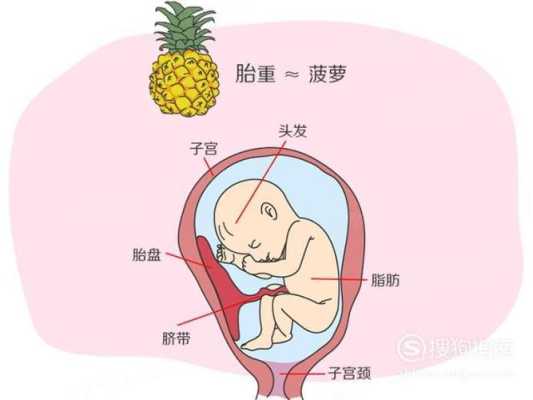 七月胎儿图片（七月胎儿图片大全）  第3张