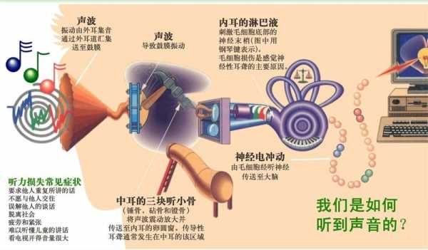 噪音致胎儿聋的案例(噪音致胎儿聋的案例有哪些) 第2张 噪音致胎儿聋的案例(噪音致胎儿聋的案例有哪些) 第2张