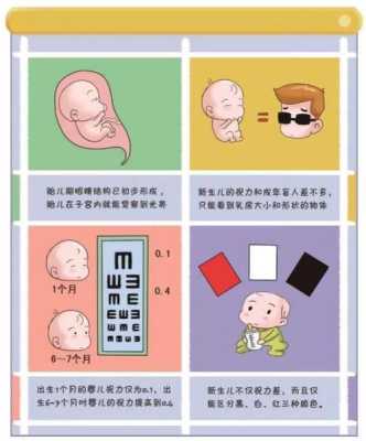 105天的宝宝视力能看多远,105天的胎儿有多大图解  第1张