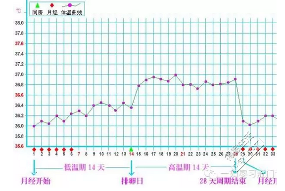 易孕期的症状(易孕期的症状有哪些) 第2张 易孕期的症状(易孕期的症状有哪些) 第2张