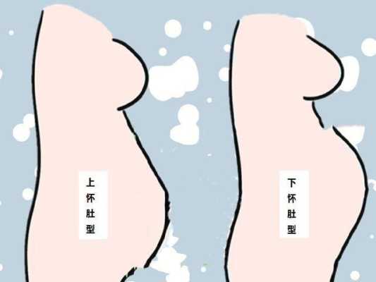 孕期肚形图（孕期肚型图）  第1张