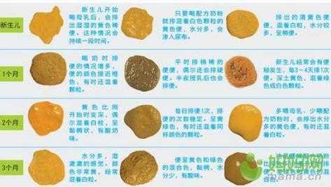 孕期便便多(孕期便便多是怎么回事) 第1张 孕期便便多(孕期便便多是怎么回事) 第1张