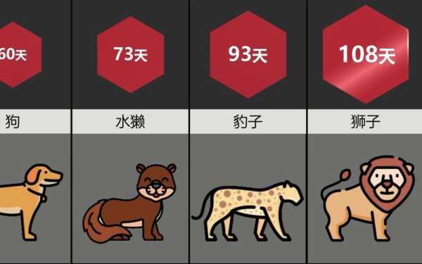 各种动物的孕期(各种动物的孕期时间) 第1张 各种动物的孕期(各种动物的孕期时间) 第1张