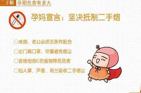 吸二手烟对胎儿的影响(孕妇天天吸二手烟对胎儿的影响) 第2张 吸二手烟对胎儿的影响(孕妇天天吸二手烟对胎儿的影响) 第2张