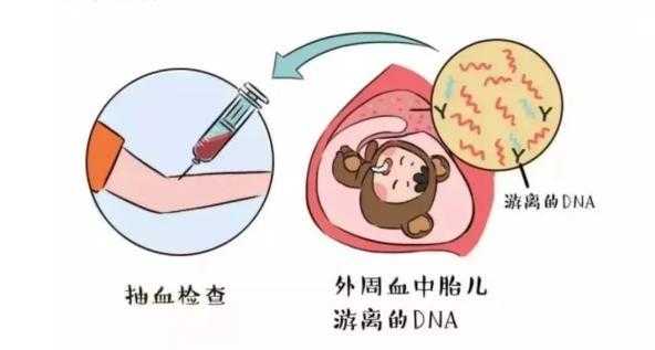 胎儿送检（早产儿医生为何建议做基因检测）  第3张