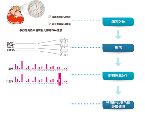 胎儿送检（早产儿医生为何建议做基因检测）  第2张
