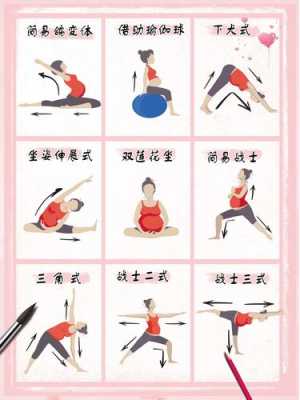 孕妇瑜伽用的工具,孕期工具书  第1张