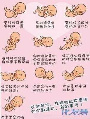 叫胎儿动(胎儿动代表什么) 第1张 叫胎儿动(胎儿动代表什么) 第1张