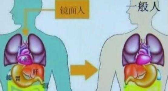 胎儿镜面人(胎儿镜面人是什么意思) 第1张 胎儿镜面人(胎儿镜面人是什么意思) 第1张