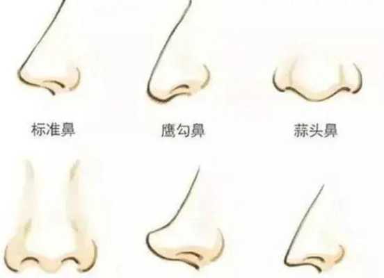 婴儿鼻型如何判断鼻梁高,胎儿鼻子高是男孩女孩 第1张 婴儿鼻型如何判断鼻梁高,胎儿鼻子高是男孩女孩 第1张