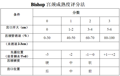孕期检查宫颈长度(孕期检查宫颈长度什么意思) 第1张 孕期检查宫颈长度(孕期检查宫颈长度什么意思) 第1张