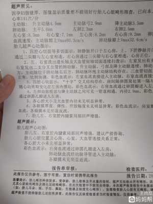 早孕检查可见原始心管搏动，这是什么意思啊,产检胎儿心脏彩超有必要吗  第1张