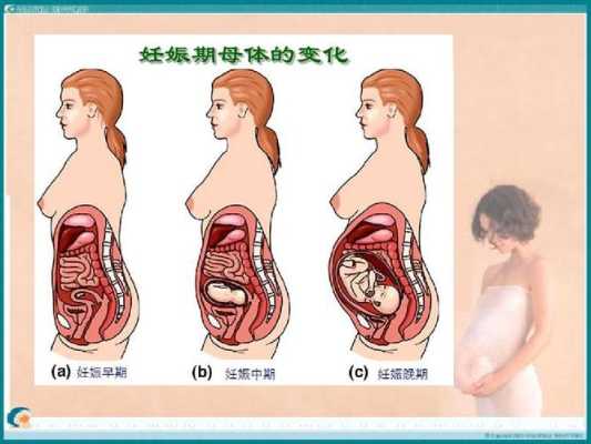 怀孕期间再怀孕(怀孕期间再怀孕) 第2张 怀孕期间再怀孕(怀孕期间再怀孕) 第2张