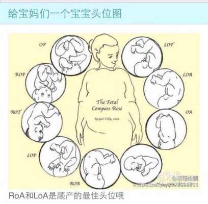 32周头位,后期还会变动吗,32周胎儿头位是什么意思 第1张 32周头位,后期还会变动吗,32周胎儿头位是什么意思 第1张
