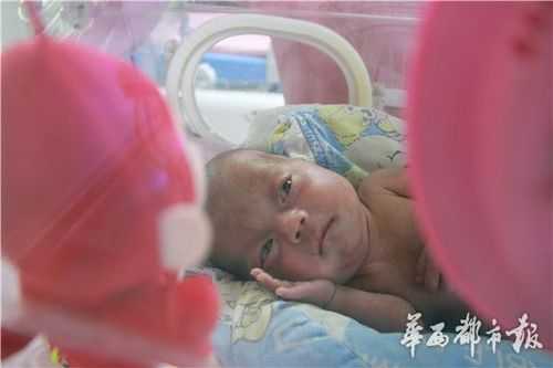 3个月孩子能长几公分,三月胎儿多大视频图 第3张 3个月孩子能长几公分,三月胎儿多大视频图 第3张