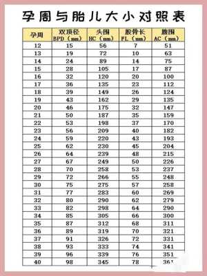 孕期身高体重标准表格(孕妇腰围怎么测量才标准) 第1张 孕期身高体重标准表格(孕妇腰围怎么测量才标准) 第1张