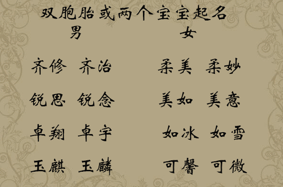 双胞胎儿子名字(双胞胎儿子名字) 第3张 双胞胎儿子名字(双胞胎儿子名字) 第3张