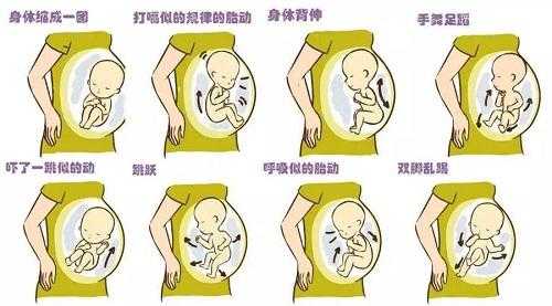 新生儿醒了就手舞足蹈是什么原因,是胎儿先饿还是孕妇先饿 第1张 新生儿醒了就手舞足蹈是什么原因,是胎儿先饿还是孕妇先饿 第1张