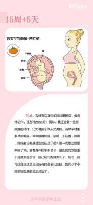 孕十五周胎儿发育情况(孕十五周胎儿发育情况和孕妇的变化) 第2张 孕十五周胎儿发育情况(孕十五周胎儿发育情况和孕妇的变化) 第2张