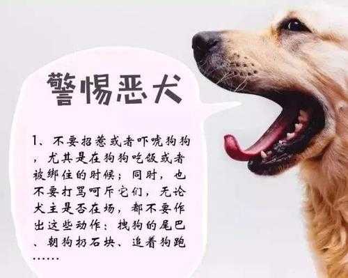 怀孕期间被狗咬了(怀孕期间狗咬了对宝宝有影响吗) 第2张 怀孕期间被狗咬了(怀孕期间狗咬了对宝宝有影响吗) 第2张