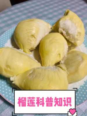 儿童吃榴莲的好处和坏处,孕期吃榴莲对胎儿好吗有影响吗 第1张 儿童吃榴莲的好处和坏处,孕期吃榴莲对胎儿好吗有影响吗 第1张