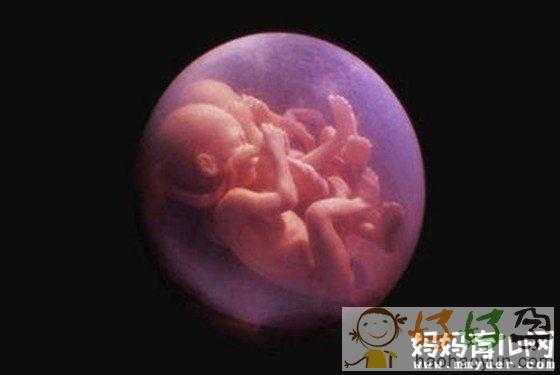 怀孕三个半月胎儿图(怀孕三个半月胎儿图) 第2张 怀孕三个半月胎儿图(怀孕三个半月胎儿图) 第2张