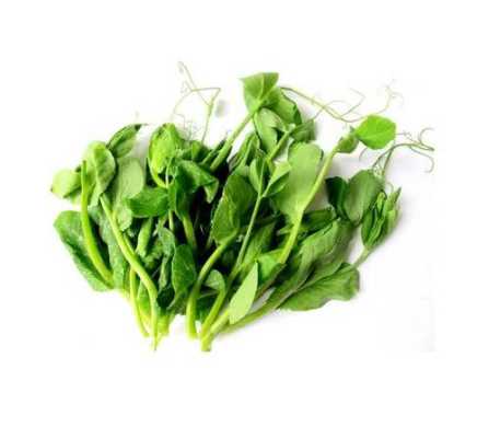 孕期豆苗(含铁蔬菜前十名) 第1张 孕期豆苗(含铁蔬菜前十名) 第1张
