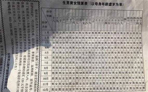 胎儿签定(胎儿签定男孩女孩要多久才有结果单) 第2张 胎儿签定(胎儿签定男孩女孩要多久才有结果单) 第2张
