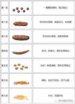 孕期屎很多(孕期屎很多怎么回事) 第1张 孕期屎很多(孕期屎很多怎么回事) 第1张