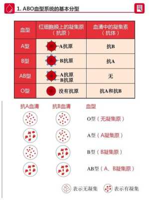 胎儿abo溶血(新生儿abo溶血症黄疸是什么) 第2张 胎儿abo溶血(新生儿abo溶血症黄疸是什么) 第2张