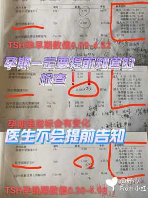 查胎儿智商（查胎儿智商需要做什么项目）  第2张