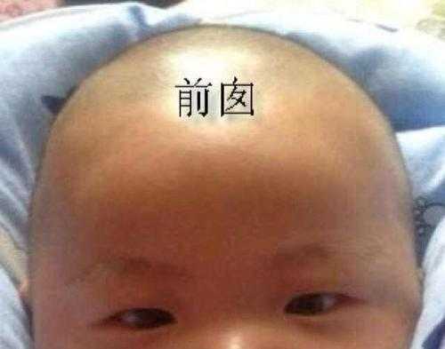 胎儿头大聪明(胎儿头大聪明还是头小聪明) 第2张 胎儿头大聪明(胎儿头大聪明还是头小聪明) 第2张