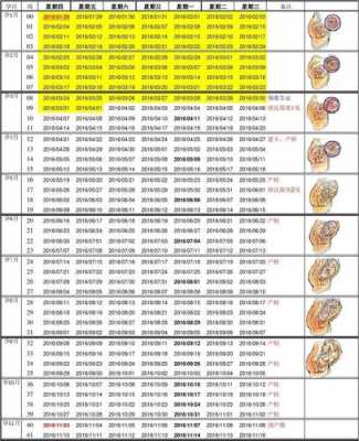 手机上怎么看到胎宝宝发育情况呀,跟踪孕妇  第3张