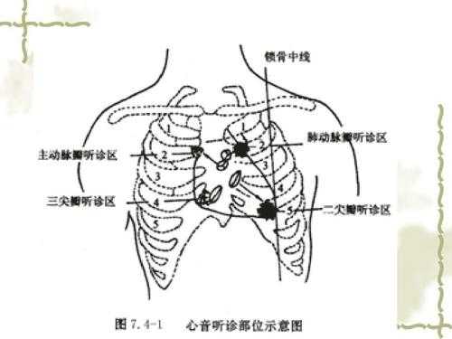 听胎儿心音(听胎儿心音的位置) 第3张 听胎儿心音(听胎儿心音的位置) 第3张