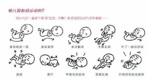 胎儿运动少(胎儿运动少了怎么办) 第2张 胎儿运动少(胎儿运动少了怎么办) 第2张