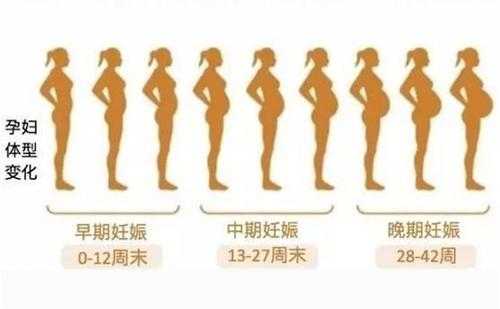 世界上最大的孕肚有多大,孕期肚子增长标准表图 第2张 世界上最大的孕肚有多大,孕期肚子增长标准表图 第2张