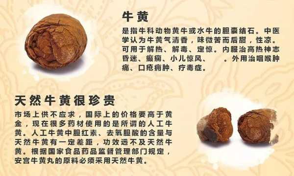 牛黄对胎儿的影响(牛黄对胎儿有影响吗) 第1张 牛黄对胎儿的影响(牛黄对胎儿有影响吗) 第1张