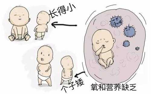 胎儿偏小出生后会怎样（胎儿偏小出生后会有什么影响）  第2张