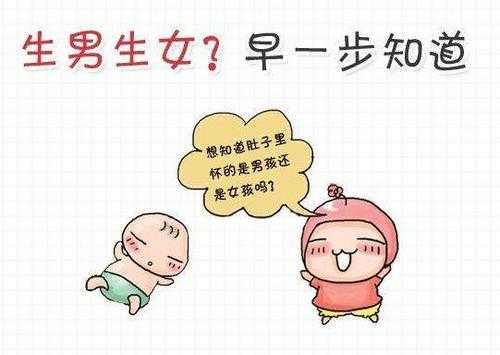 孕期反应早(孕期反应早是男孩女孩) 第2张 孕期反应早(孕期反应早是男孩女孩) 第2张