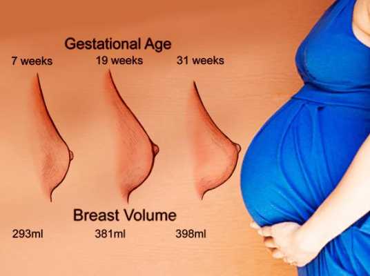 孕期乳房增长(怀孕初期,乳房有什么大的变化吗) 第3张 孕期乳房增长(怀孕初期,乳房有什么大的变化吗) 第3张