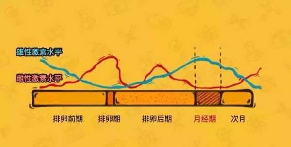 雌激素对胎儿的影响(雌激素对胎儿的影响) 第2张 雌激素对胎儿的影响(雌激素对胎儿的影响) 第2张
