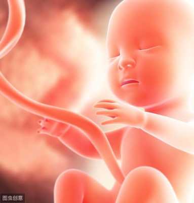 孕妇下蹲时的胎儿图片(孕妇下蹲时的胎儿图片) 第2张 孕妇下蹲时的胎儿图片(孕妇下蹲时的胎儿图片) 第2张