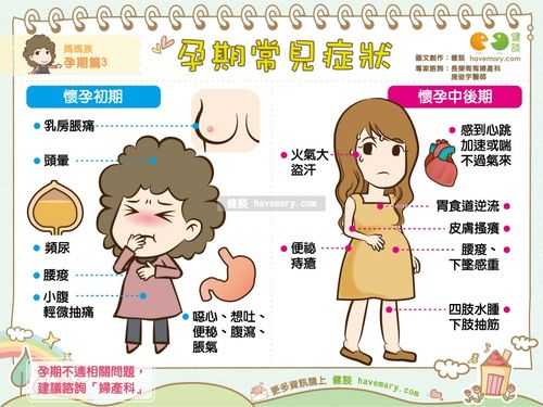 中孕期反应(孕期反应一般从什么时候开始) 第2张 中孕期反应(孕期反应一般从什么时候开始) 第2张