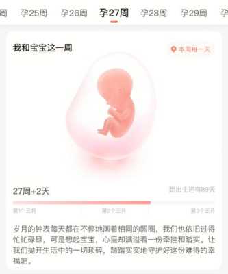 81天孕期（89天是什么意思）  第2张