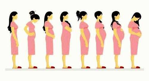 为什么说十月怀胎苦,孕期辛苦吗? 第3张 为什么说十月怀胎苦,孕期辛苦吗? 第3张